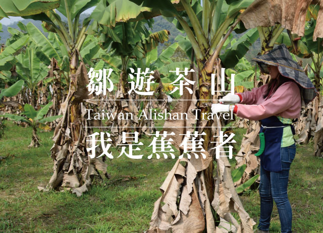 鄒遊茶山-我是蕉蕉者-茶山文化巡禮x香蕉園冒險x午茶甜點x農事飯...